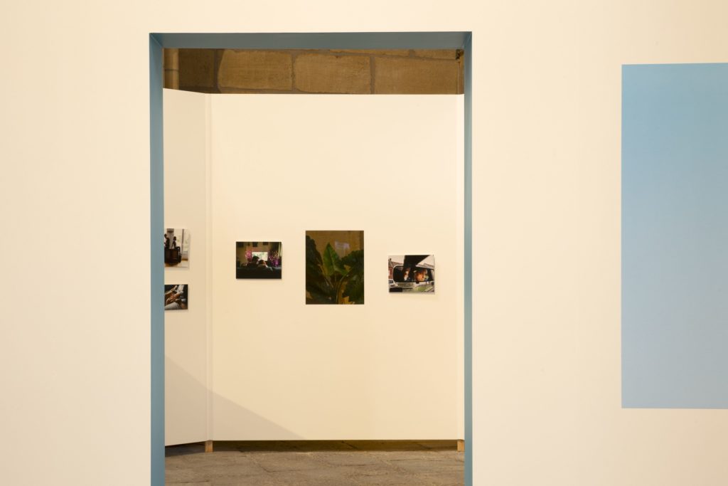 21_MG_6466